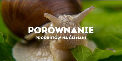 Porównanie produktów na ślimaki
